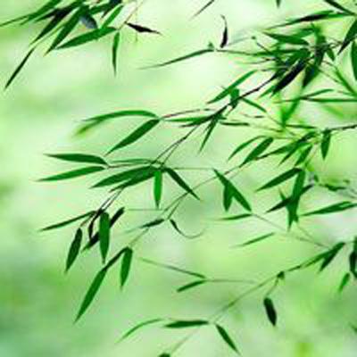 蜀山天地官方(暂未上线)v1.2 安卓版